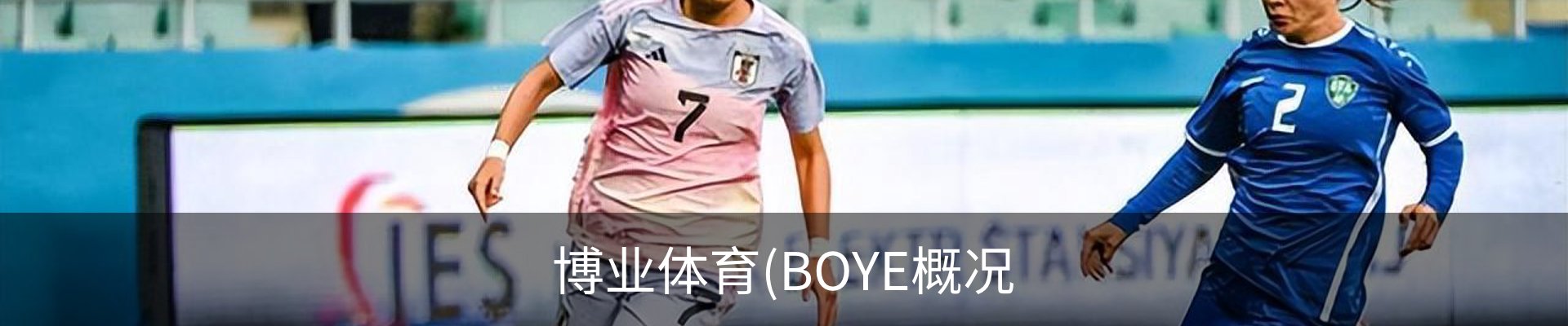 博业体育(BOYE概况