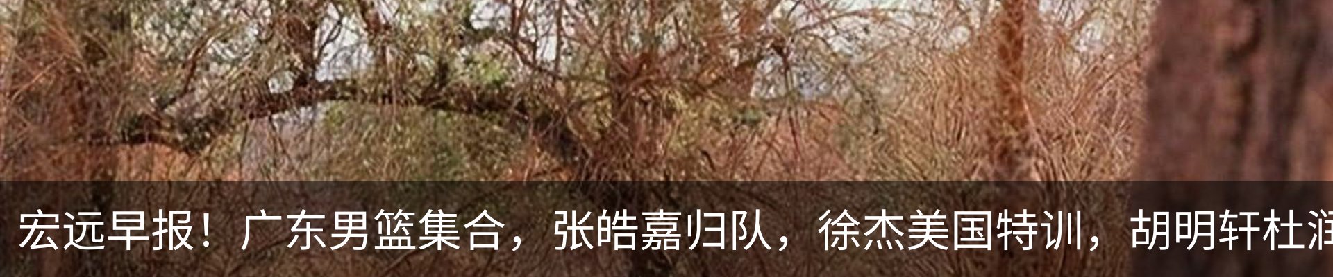 新闻动态